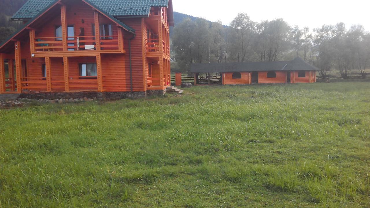 Villa Плай Verkhovyna Exterior foto